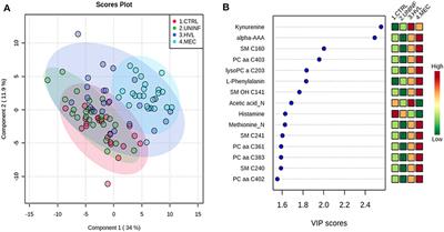 Fetal Metabolomic Alterations Following Porcine Reproductive and Respiratory Syndrome Virus Infection